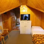 Borowik