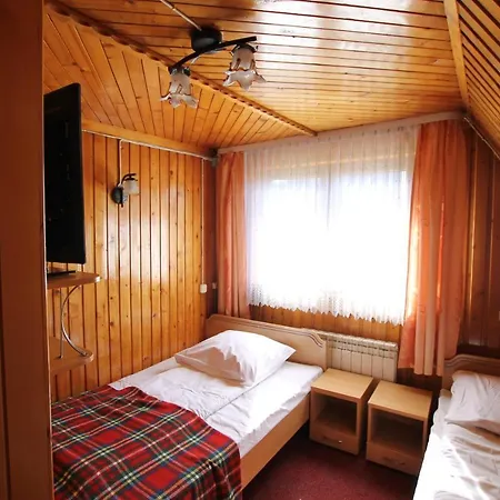Borowik