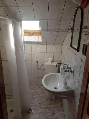 Borowik